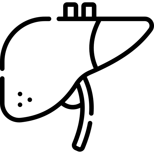 Liver healthcare and medical liver anatomy icon