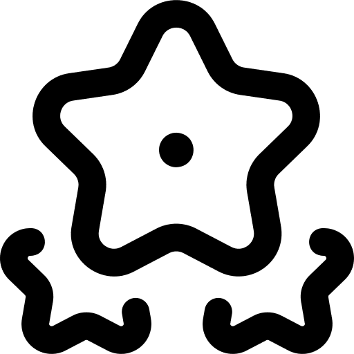 Star ranking shapes and symbols winner icon