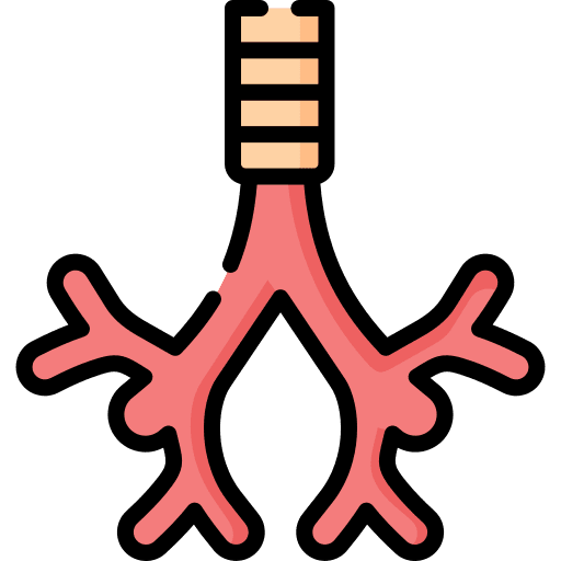 Bronchus human body respiratory system healthcare and medical icon Bronchus human body respiratory system healthcare and medical icon