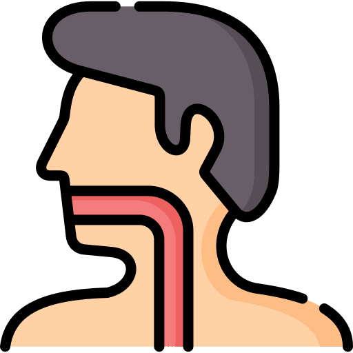 Esophagus body organ man user icon Esophagus body organ man user icon