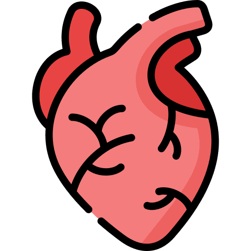 Heart body part anatomy human body icon Heart body part anatomy human body icon