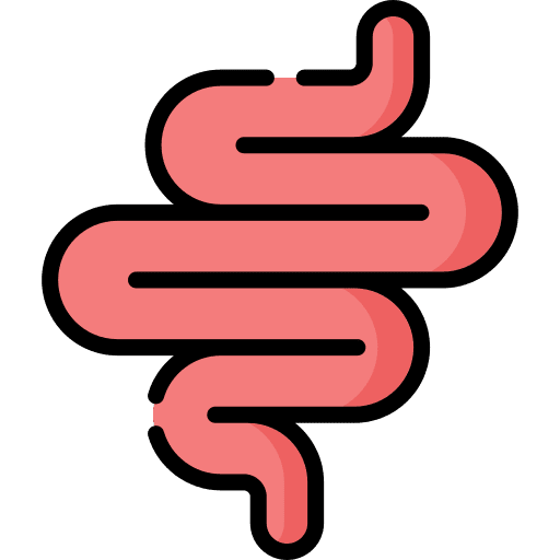 Intestine digestive system body part intestine icon