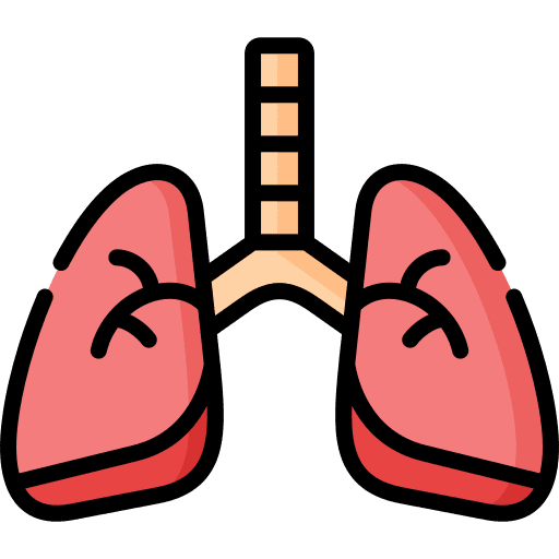 Lungs body part breath body organ icon Lungs body part breath body organ icon