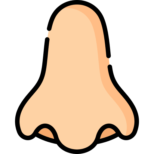 Nose healthcare and medical human body anatomy icon Nose healthcare and medical human body anatomy icon