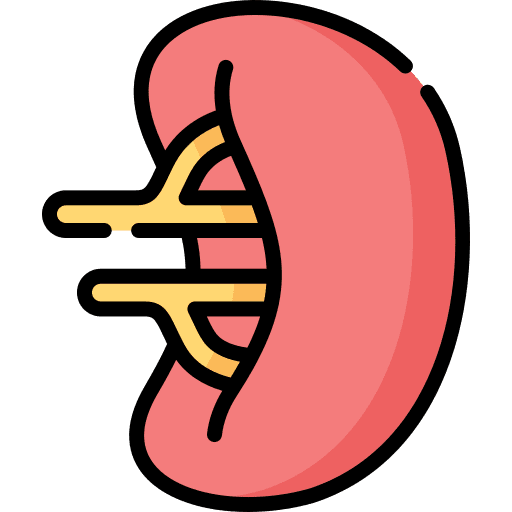 Spleen body part healthcare and medical body organ icon Spleen body part healthcare and medical body organ icon