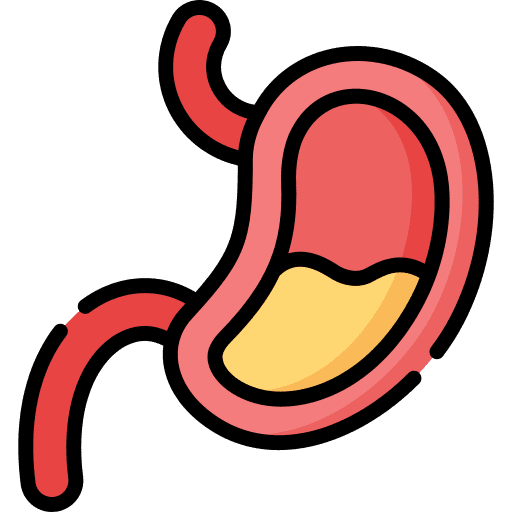 Stomach digestive system gastroenterology human body icon Stomach digestive system gastroenterology human body icon