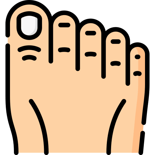 Toe body part feet foot icon