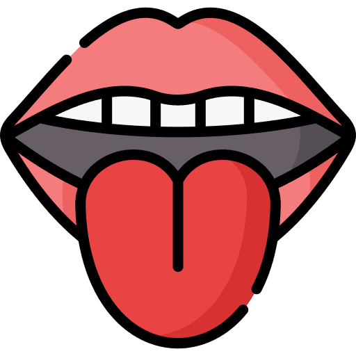 Tongue anatomy sense body part icon Tongue anatomy sense body part icon