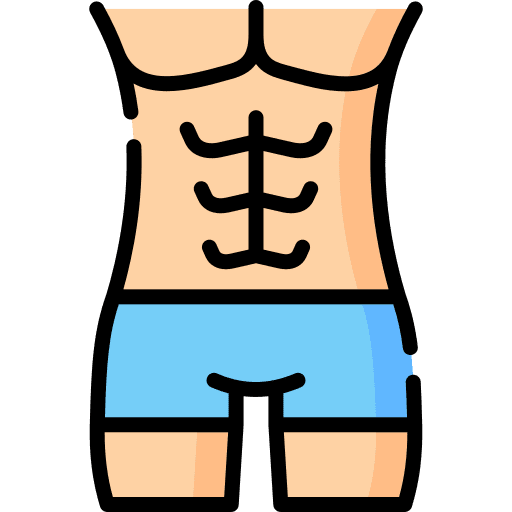 Abs body part muscle human body icon Abs body part muscle human body icon
