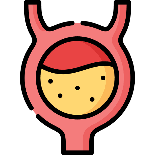 Bladder body part anatomy bladder icon Bladder body part anatomy bladder icon