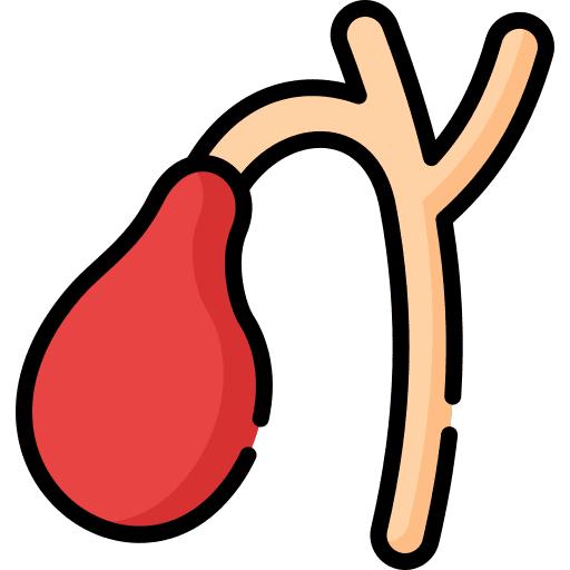 Gallbladder digestive system body organ anatomy icon Gallbladder digestive system body organ anatomy icon