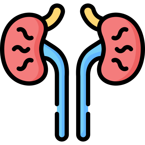 Kidney healthcare and medical body organ urology icon Kidney healthcare and medical body organ urology icon