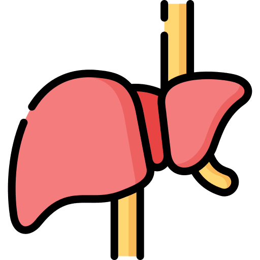 Liver transplant body organ anatomy icon Liver transplant body organ anatomy icon