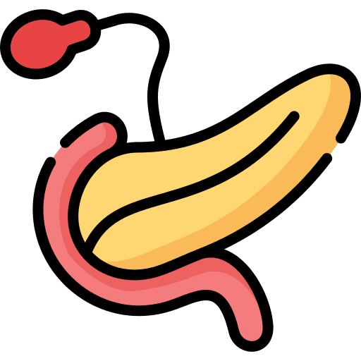 Pancreas body organ endocrine system digestive system icon Pancreas body organ endocrine system digestive system icon