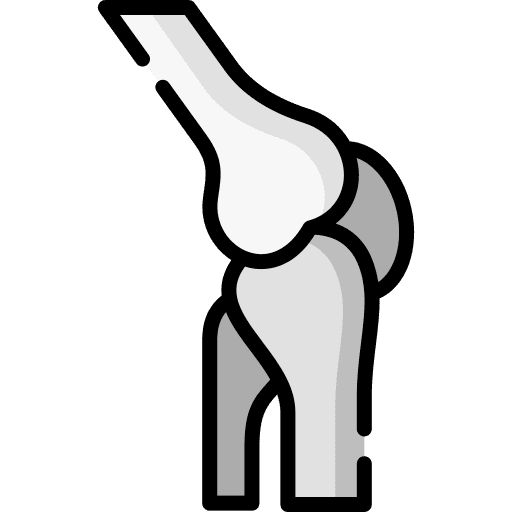 Skeleton human body healthcare and medical leg icon Skeleton human body healthcare and medical leg icon