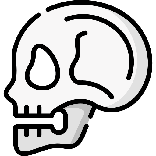 Skull anatomy head healthcare and medical icon Skull anatomy head healthcare and medical icon