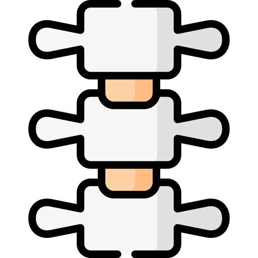 Spine bones spine backbone icon Spine bones spine backbone icon