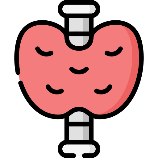 Thyroid gland endocrine human body icon Thyroid gland endocrine human body icon