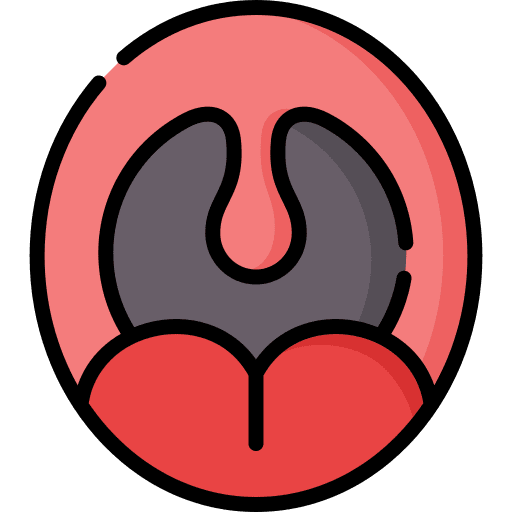Tonsils anatomy body part tongue icon Tonsils anatomy body part tongue icon