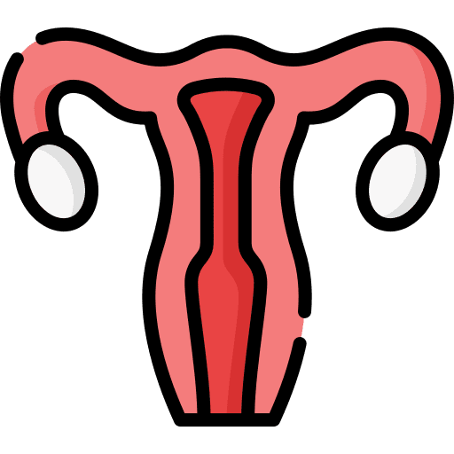 Uterus anatomy female organs fallopian tubes icon Uterus anatomy female organs fallopian tubes icon