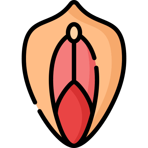 Vagina human body healthcare and medical body part icon Vagina human body healthcare and medical body part icon