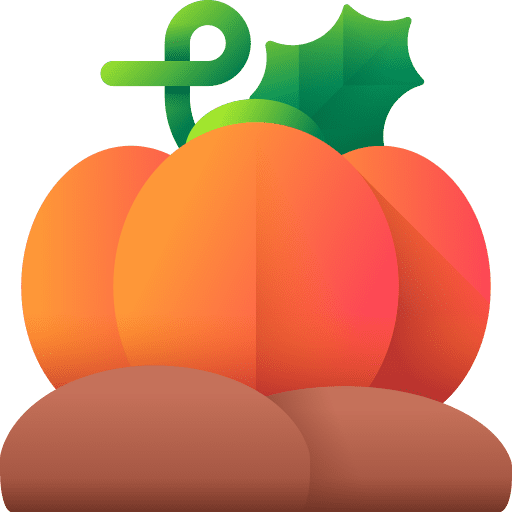 Pumpkin organic vegetarian pumpkin icon Pumpkin organic vegetarian pumpkin icon