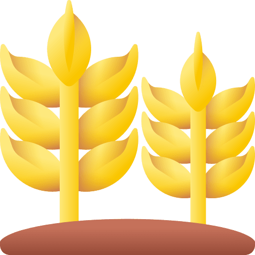 Wheat nutrition nature grain icon Wheat nutrition nature grain icon