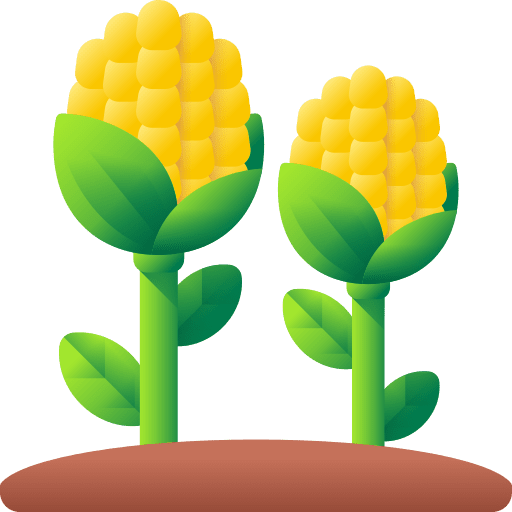 Corn corn farming and gardening vegan icon Corn corn farming and gardening vegan icon