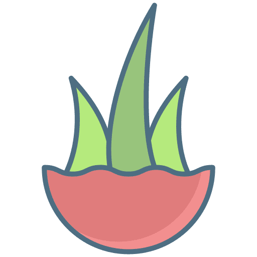 Aloe vera plant farming and gardening exotic icon