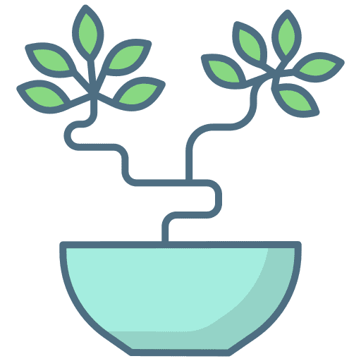 Bonsai tree farming and gardening chinese icon