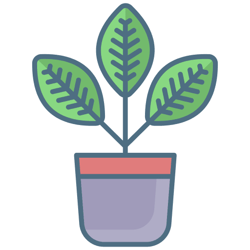 Croton indoor plants green nature icon Croton indoor plants green nature icon
