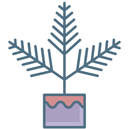 Fern botanic botanical nature icon Fern botanic botanical nature icon