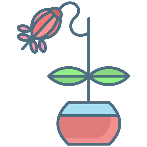 Plant herb vines vine icon Plant herb vines vine icon