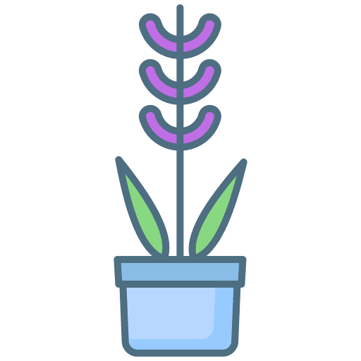 Plant plant gardening lavender icon Plant plant gardening lavender icon