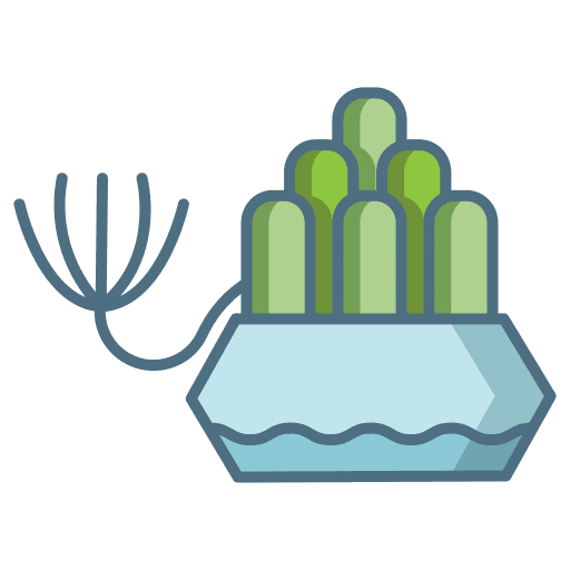 Plant plant pot house plants botanical icon Plant plant pot house plants botanical icon