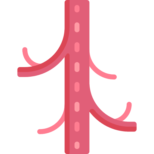 Vascular vascular heart artery icon Vascular vascular heart artery icon