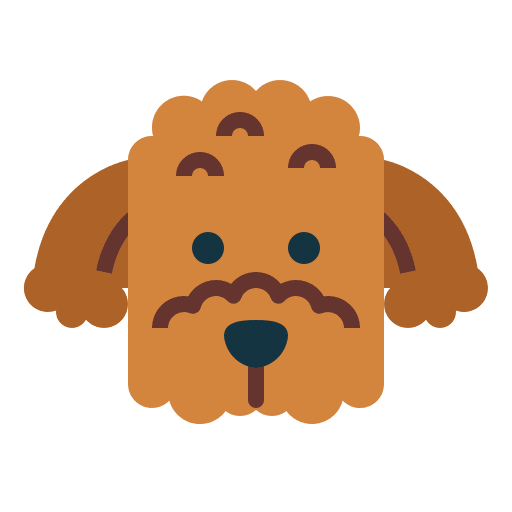 Poodle pet animal animals icon