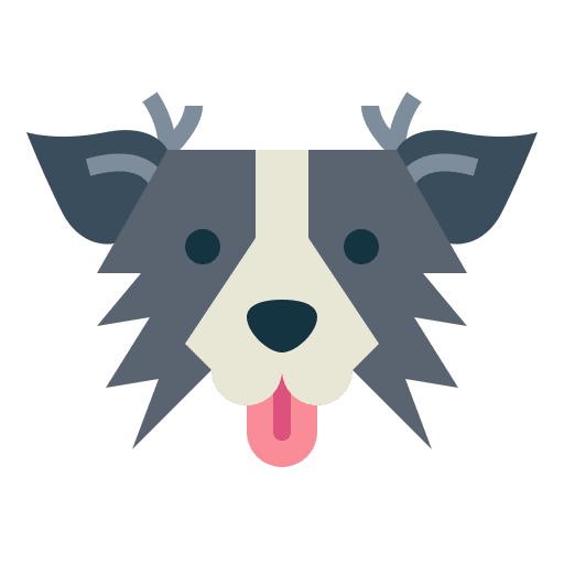 Border collie animals dog breed icon Border collie animals dog breed icon