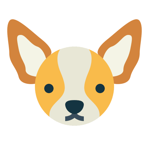Chihuahua dog chihuahua animal icon