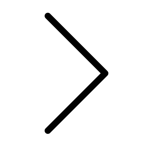 Chevron skip next direction icon