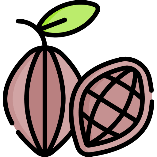 Cocoa bean seed cocoa bean food and restaurant icon