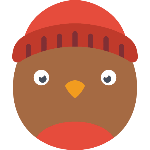 Robin hat beanie wings icon