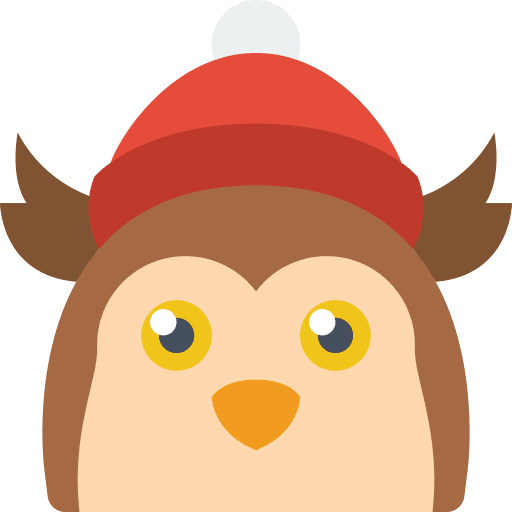 Owl winter owl animal icon