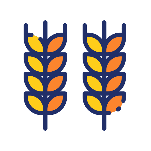 Wheat plant grain harvest icon Wheat plant grain harvest icon