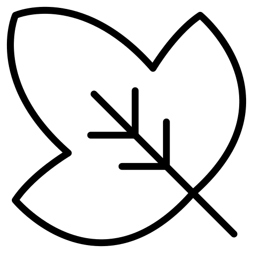 Leaf leaf nature botanical icon