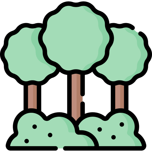 Forest park nature woodland icon