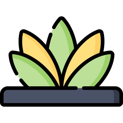 Agave nature farming and gardening botanical icon Agave nature farming and gardening botanical icon