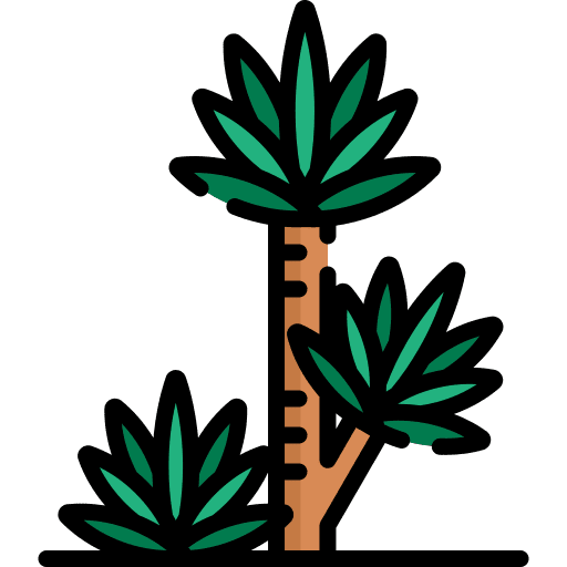 Yucca nature flower tree icon