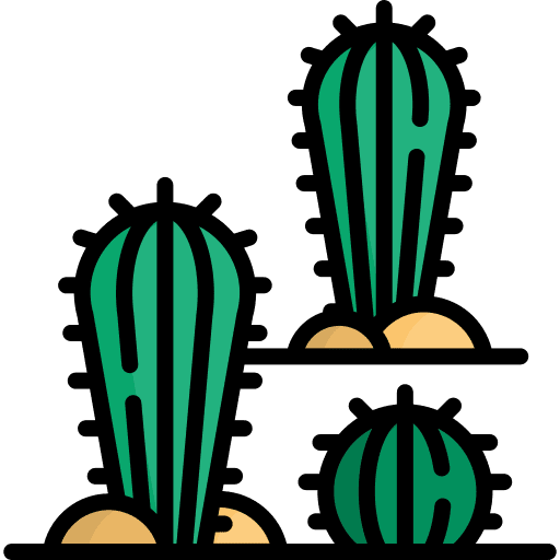 Cacti plant dune nature icon