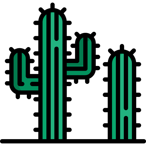 Cactus cactus desert botanical icon